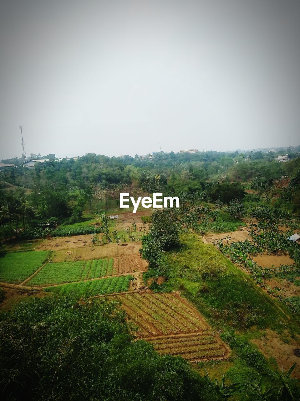 SCENIC VIEW OF AGRICULTURAL LANDSCAPE AGAINST SKY