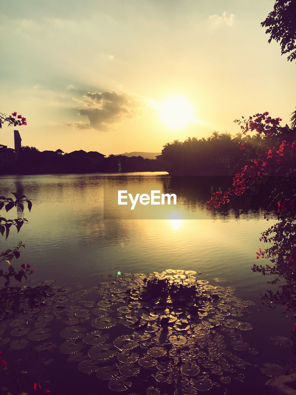 LAKE BY TREES AGAINST SKY DURING SUNSET