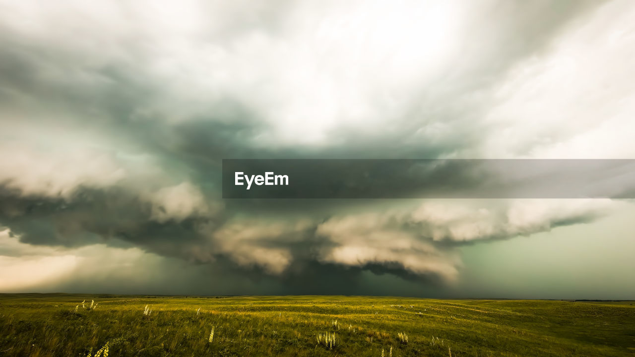 cloud, environment, sky, storm, landscape, thunderstorm, storm cloud, beauty in nature, dramatic sky, nature, field, plant, land, rural scene, scenics - nature, cloudscape, rain, overcast, horizon over land, wet, horizon, no people, agriculture, plain, crop, sunlight, grassland, outdoors, grass, cumulonimbus, moody sky, extreme weather, prairie, day, green, awe, tranquility, ominous, cereal plant, power in nature, atmospheric mood, non-urban scene, growth, wind, summer, tranquil scene, dark, morning, dusk