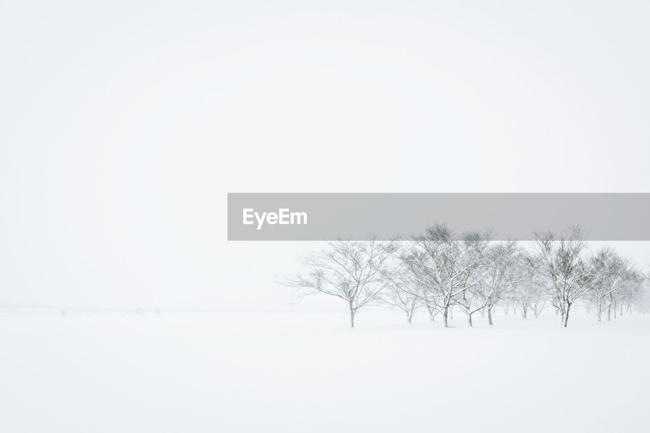 Trees on snow covered field against clear sky