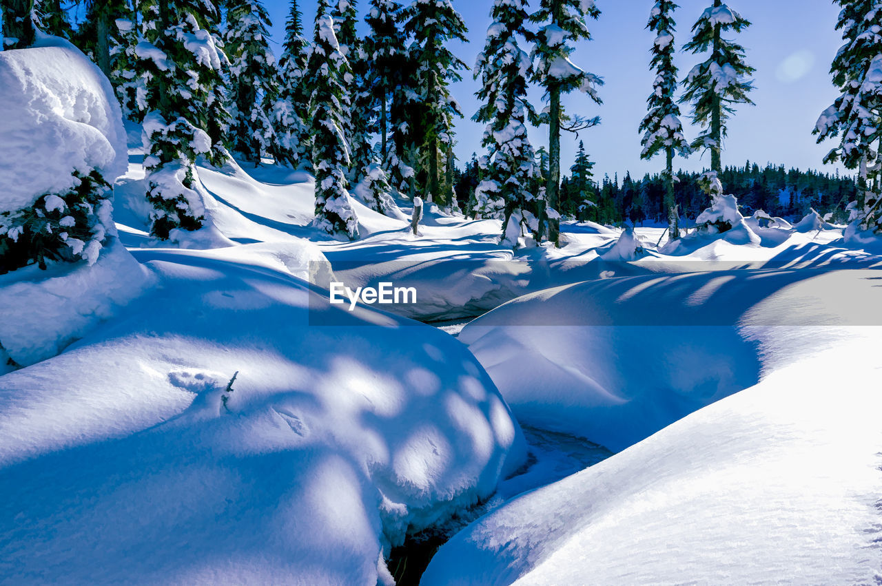 Scenic view of snow covered landscape