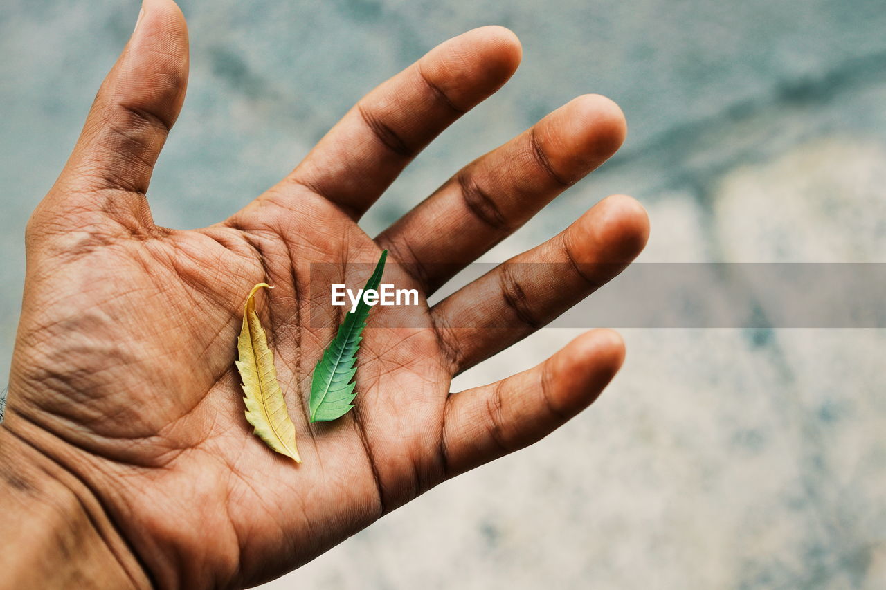 CLOSE-UP OF A HAND HOLDING A INSECT