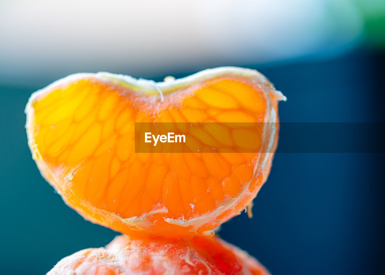 Close-up of tangerine