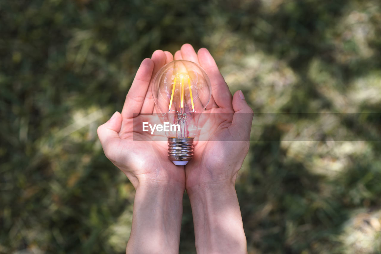 Hand holding light bulb in nature on green background for energy concept.