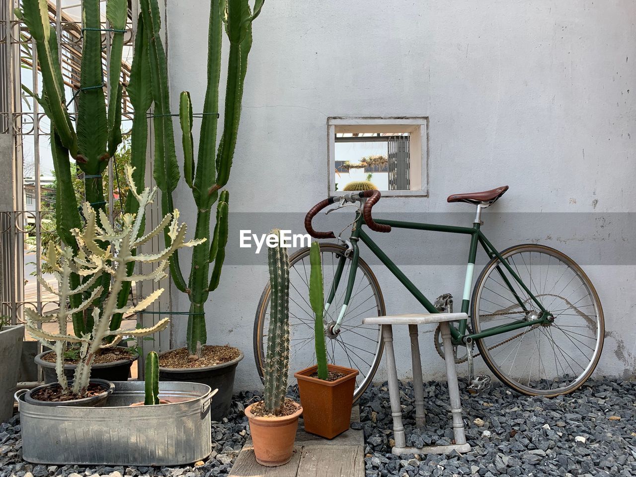 POTTED PLANT ON WALL