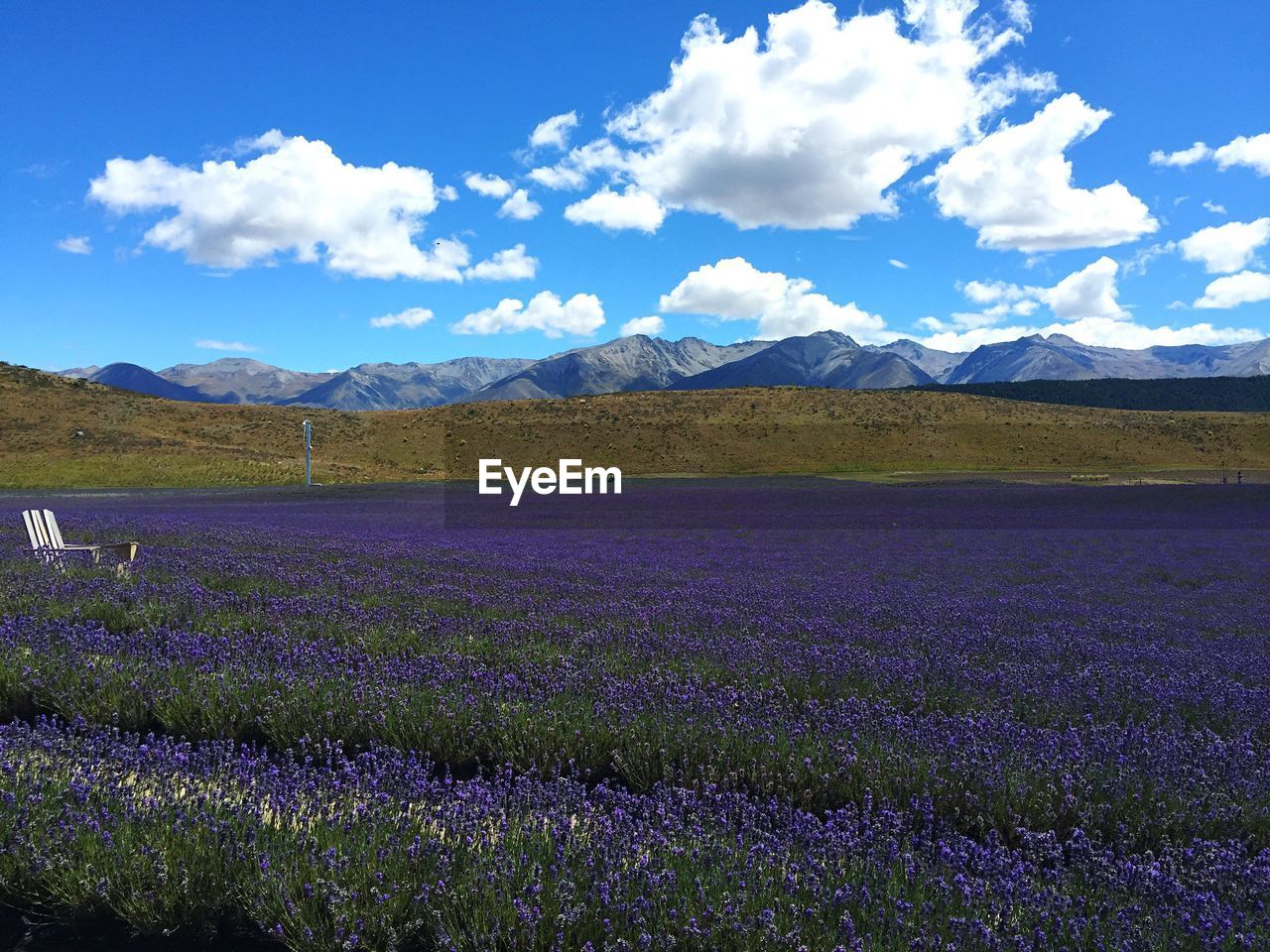 Scenic view of field against blue sky