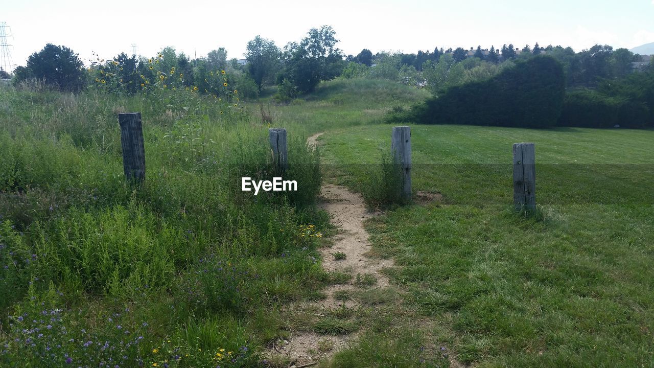 GRASSY FIELD AGAINST SKY