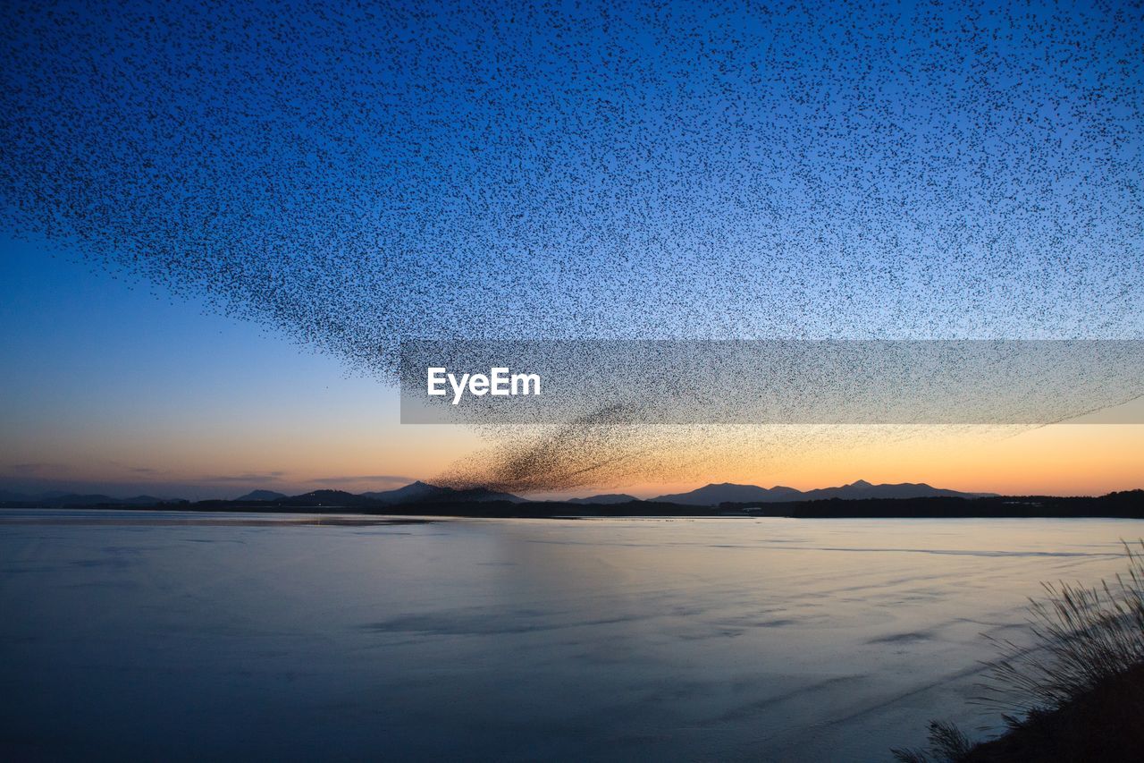 Scenic view of sea against clear sky during sunset