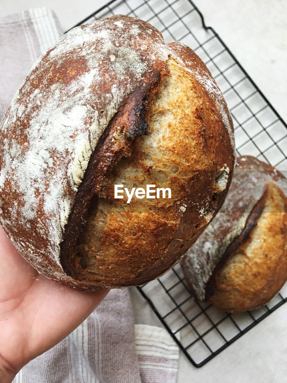 CLOSE-UP OF HAND HOLDING BREAD IN PLATE