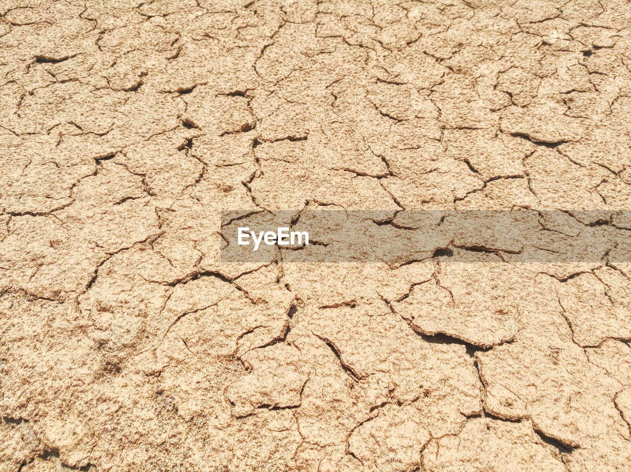 FULL FRAME OF CRACKED LAND