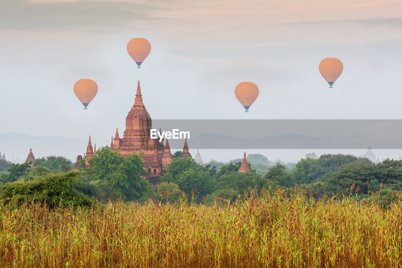 VIEW OF HOT AIR BALLOONS IN THE FIELD