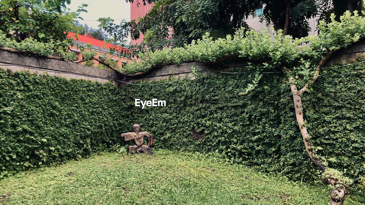 plant, garden, shrub, tree, green, yard, nature, flower, growth, lawn, day, grass, no people, backyard, animal, outdoors, animal themes, leaf, architecture, hedge, high angle view, one animal, built structure, front or back yard, beauty in nature, mammal