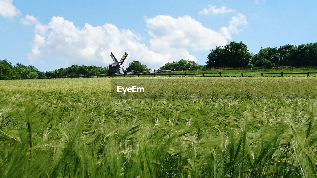 PANORAMIC VIEW OF AGRICULTURAL FIELD AGAINST SKY