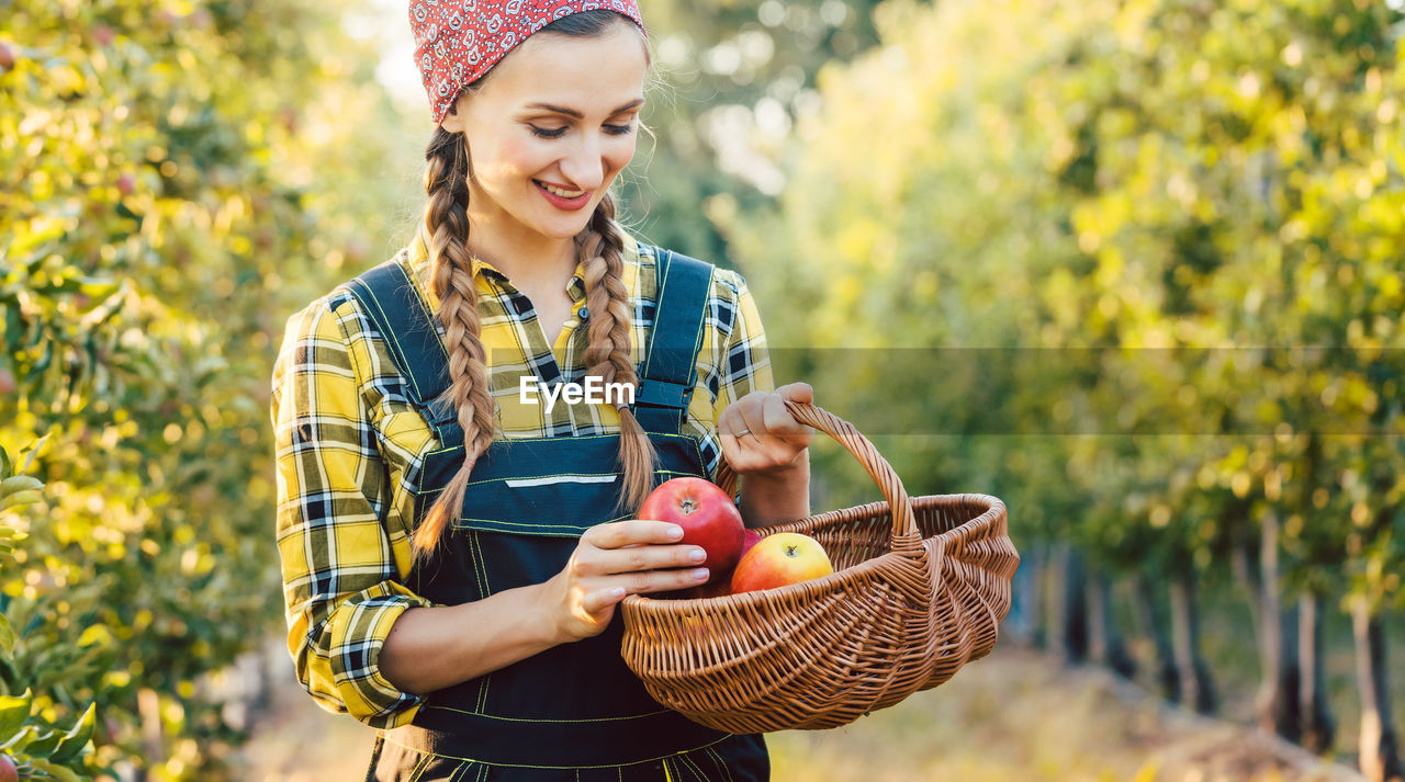 Smiling woman harvesting apples