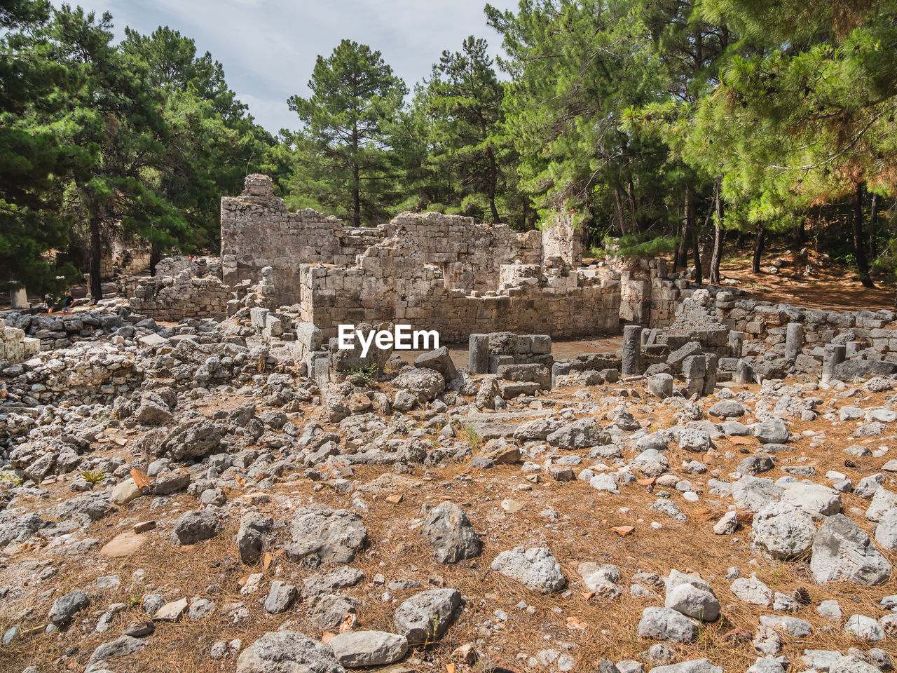 ruins, tree, plant, history, archaeological site, architecture, ancient, nature, the past, old ruin, no people, rock, ancient history, built structure, stone material, land, environment, sky, ancient civilization, outdoors, wall, archaeology, landscape, day, stone, travel, travel destinations, cloud, forest, stone wall, geology