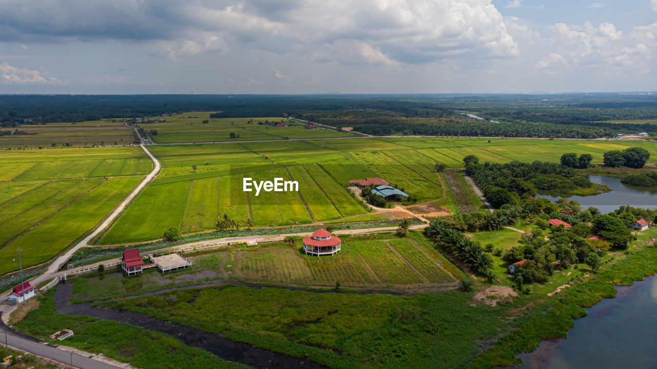 Aerial view of agriculture land, paddy fields in sungai rambai, melaka, malaysia