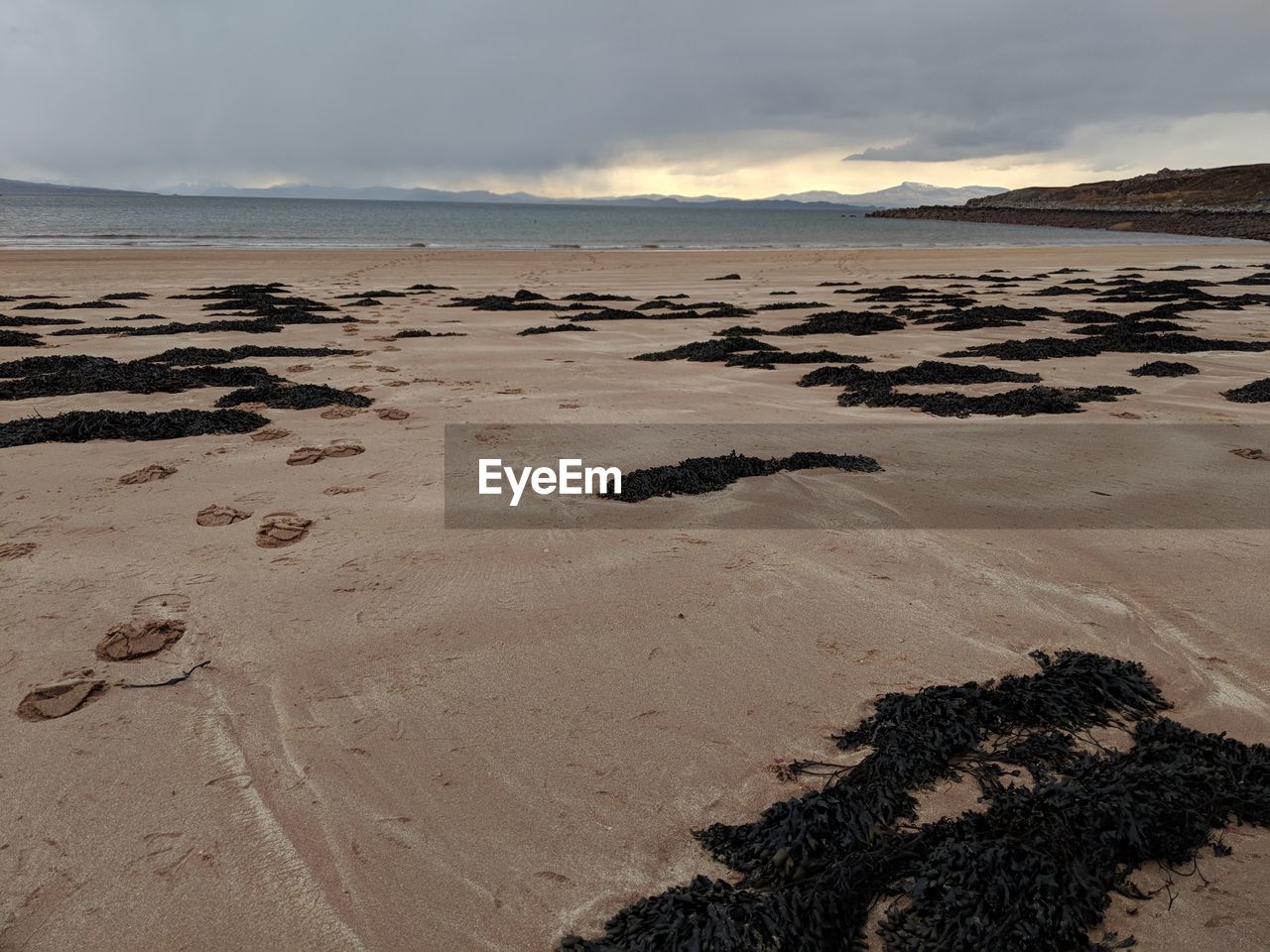 SCENIC VIEW OF BEACH