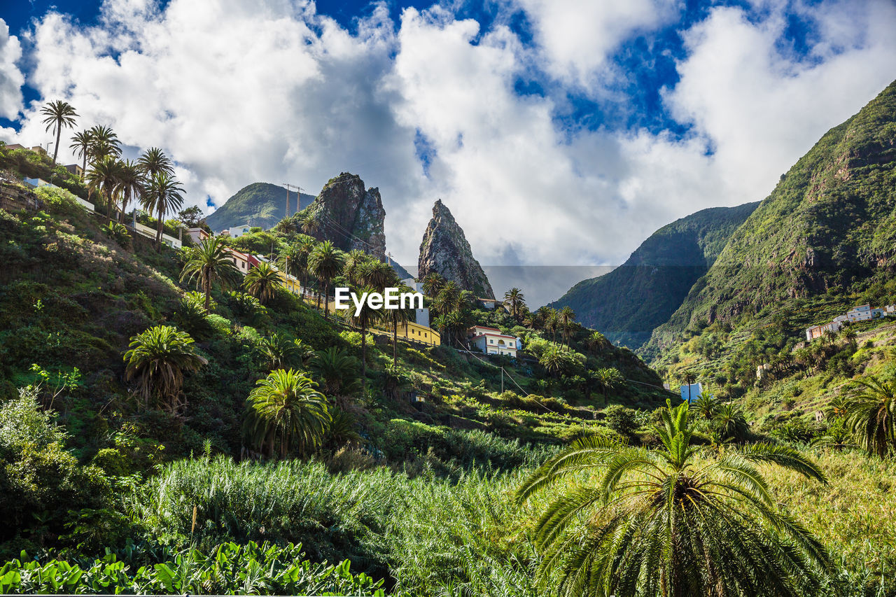 Panoramic view of trees and mountains against sky