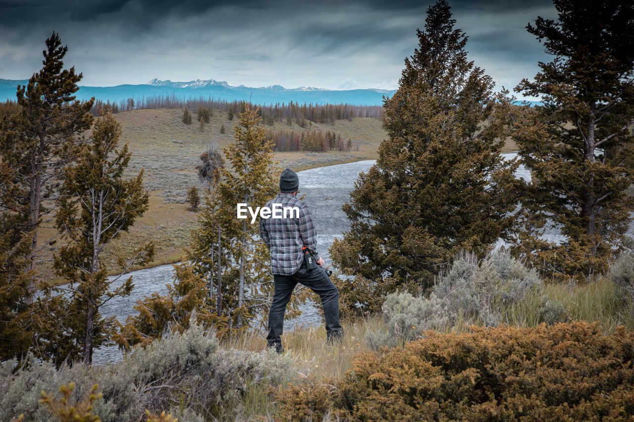 REAR VIEW OF MAN ON PLANTS AGAINST SKY