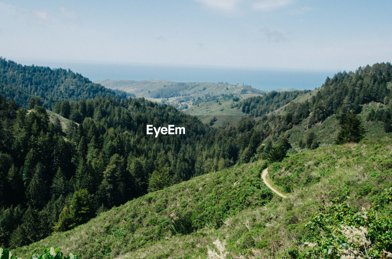 Scenic view of green mountains