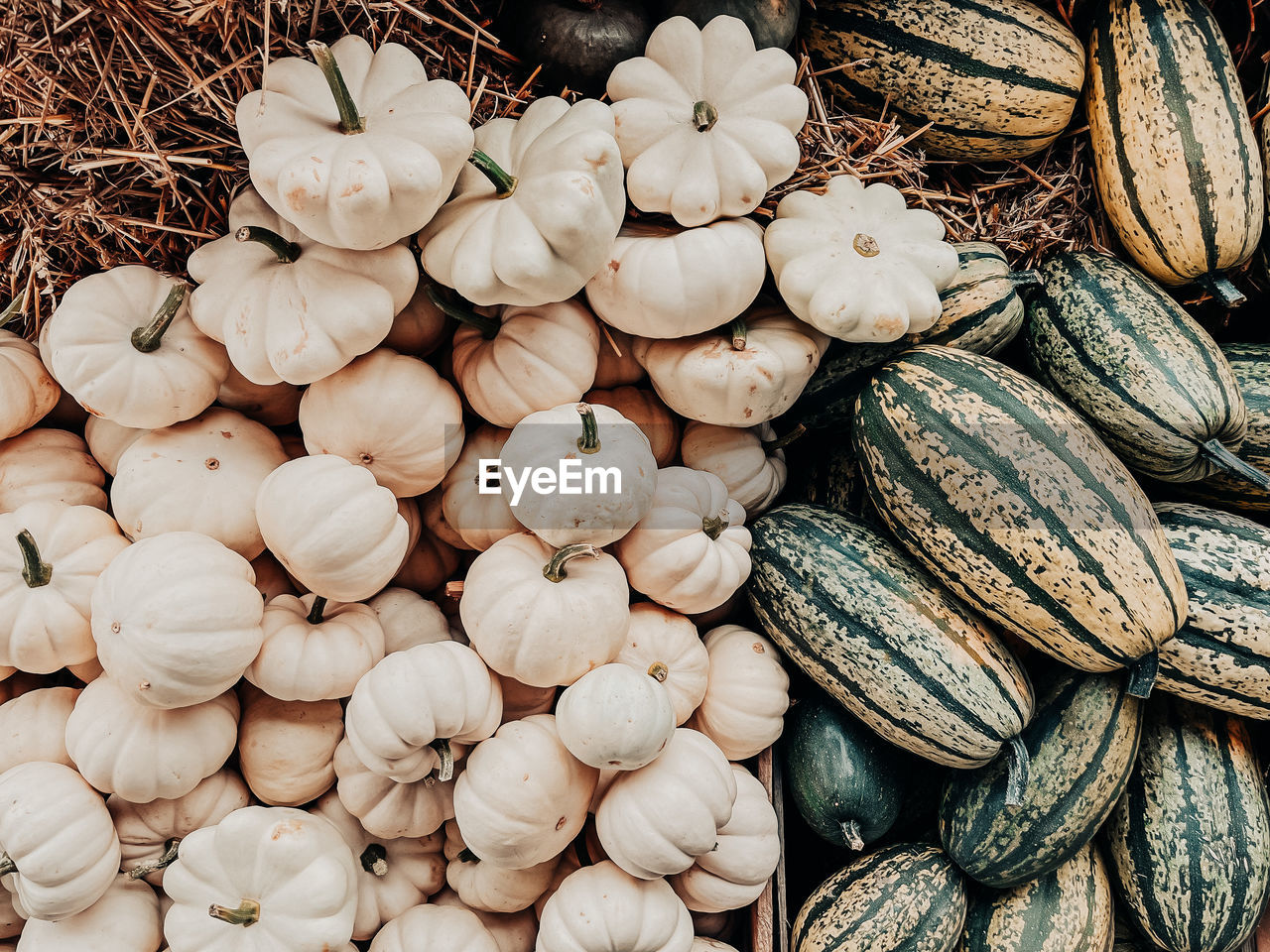 FULL FRAME SHOT OF ONIONS FOR SALE IN MARKET