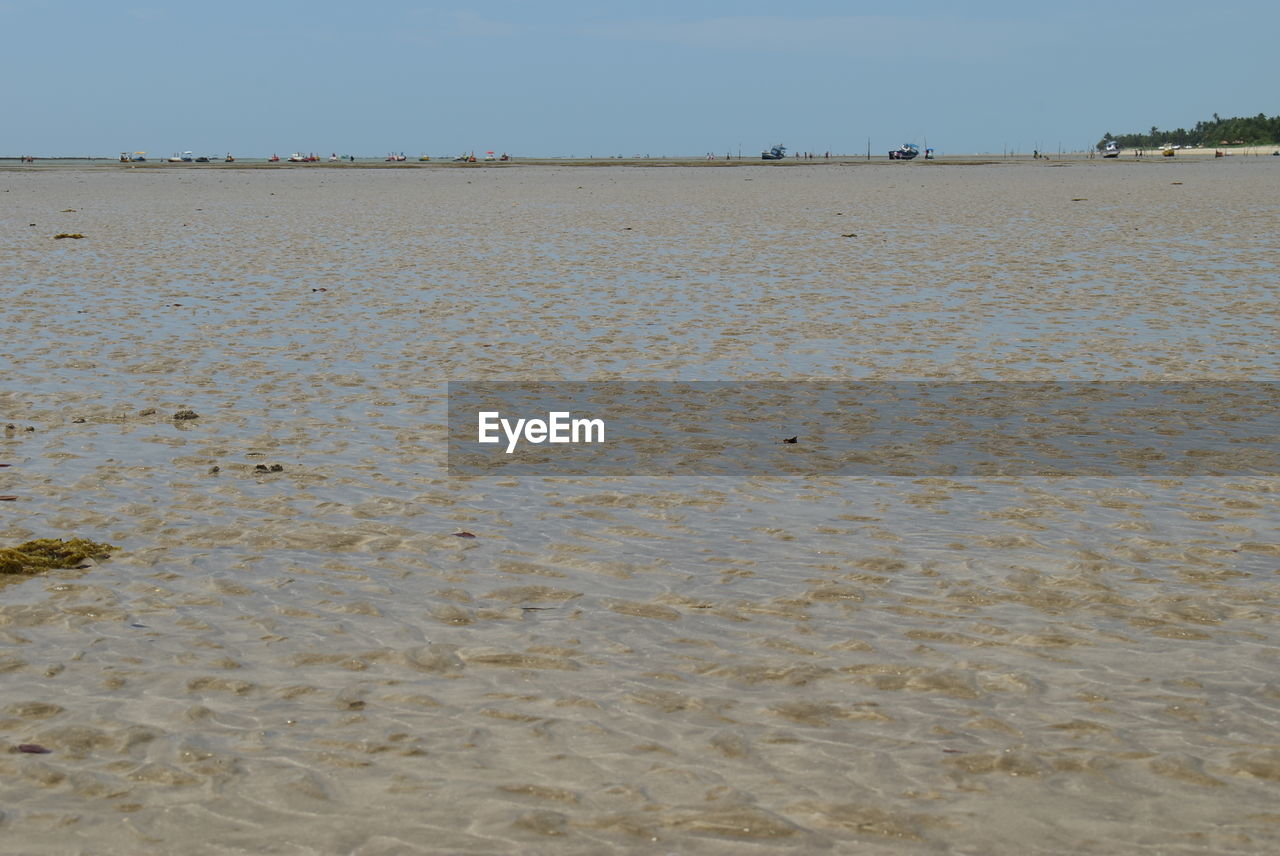 SCENIC VIEW OF BEACH