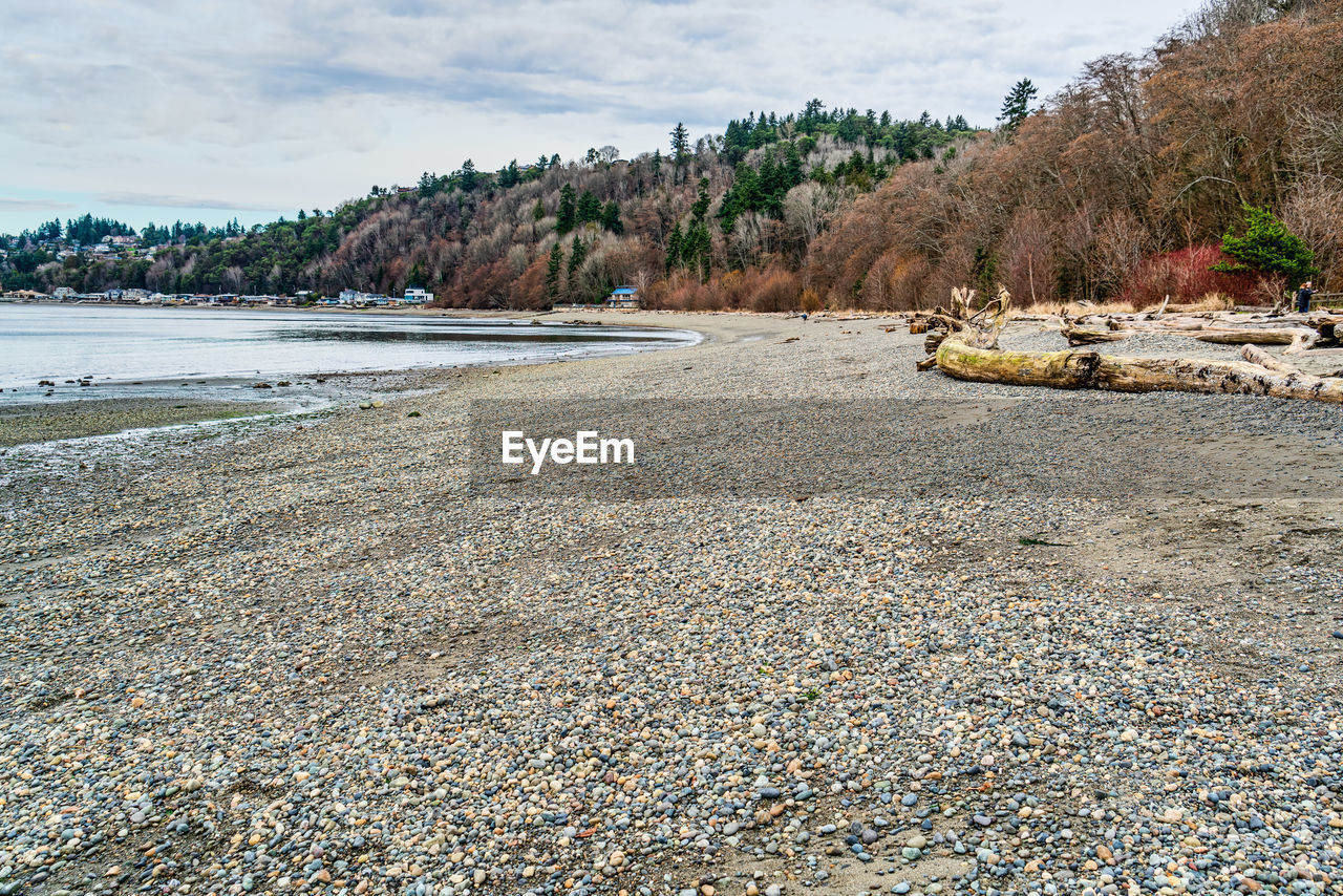 shore, water, land, sea, coast, body of water, nature, beach, sky, tree, scenics - nature, environment, no people, beauty in nature, plant, cloud, tranquility, landscape, rock, day, travel destinations, tranquil scene, travel, pebble, sand, outdoors, non-urban scene, coastline, pinaceae, tourism, coniferous tree, bay, mountain