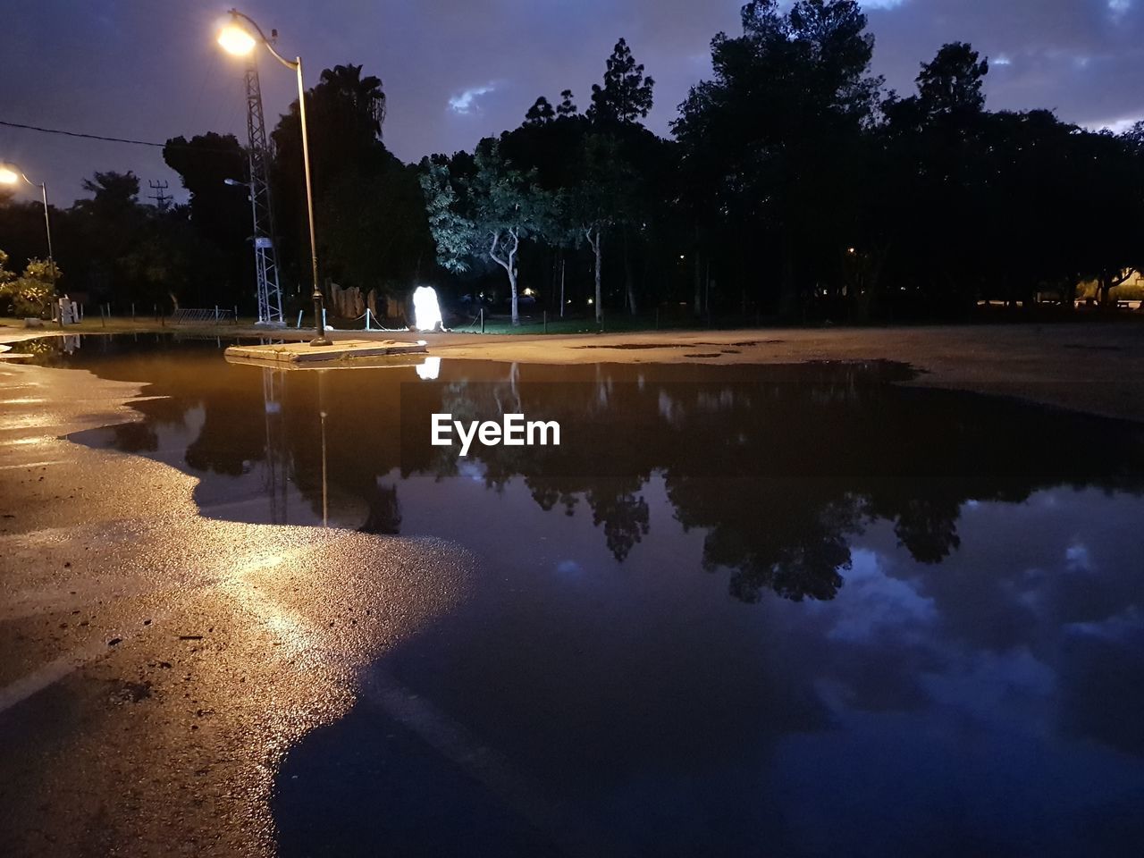 REFLECTION OF ILLUMINATED TREES IN PUDDLE