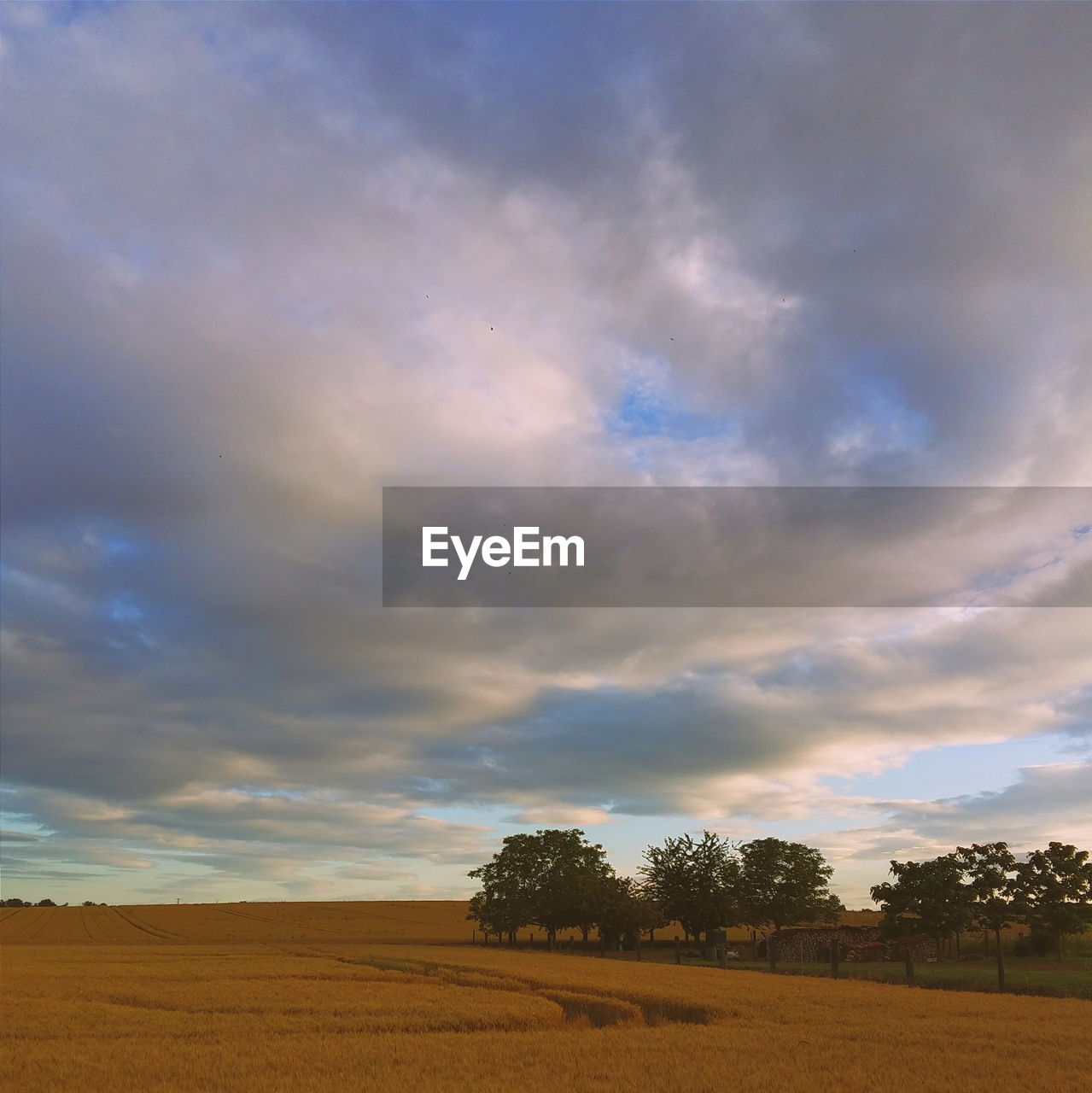 Scenic view of landscape against cloudy sky