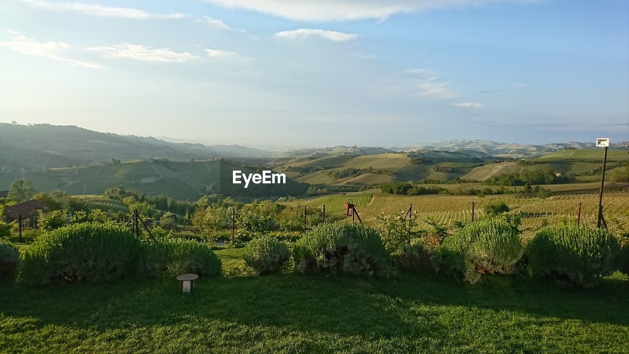 SCENIC VIEW OF LAND AGAINST SKY