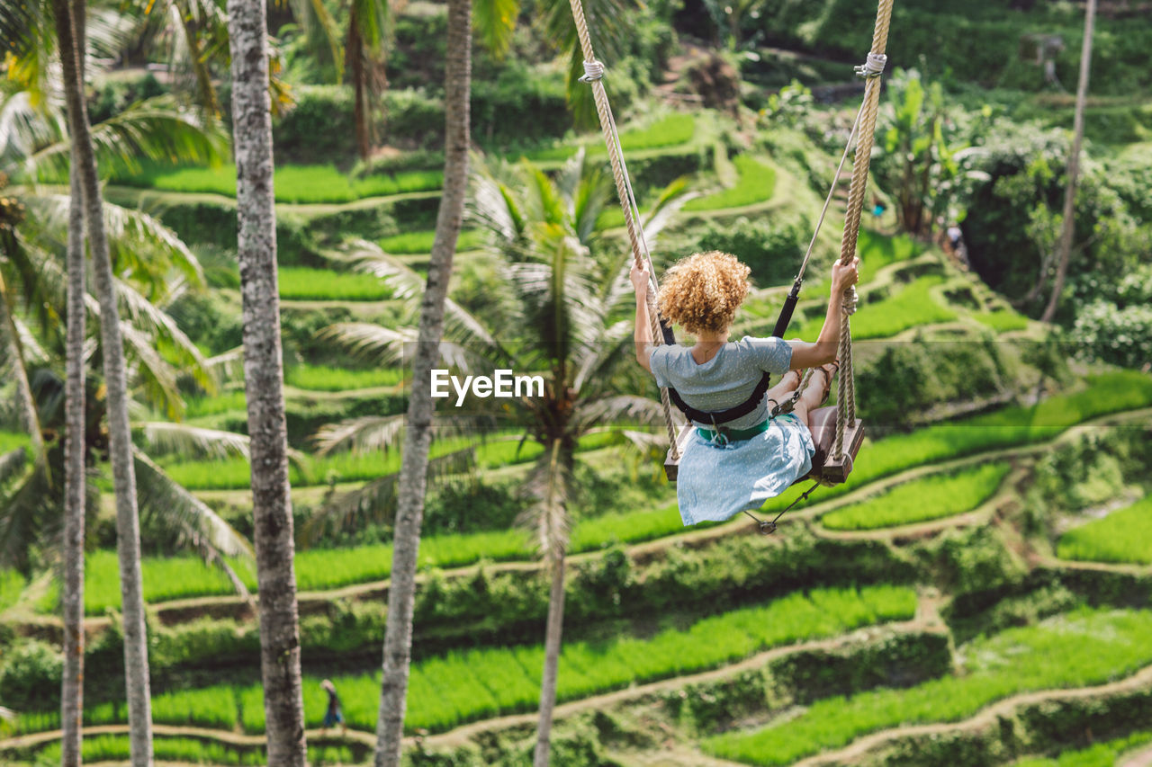 Rear view of a woman on a swing 