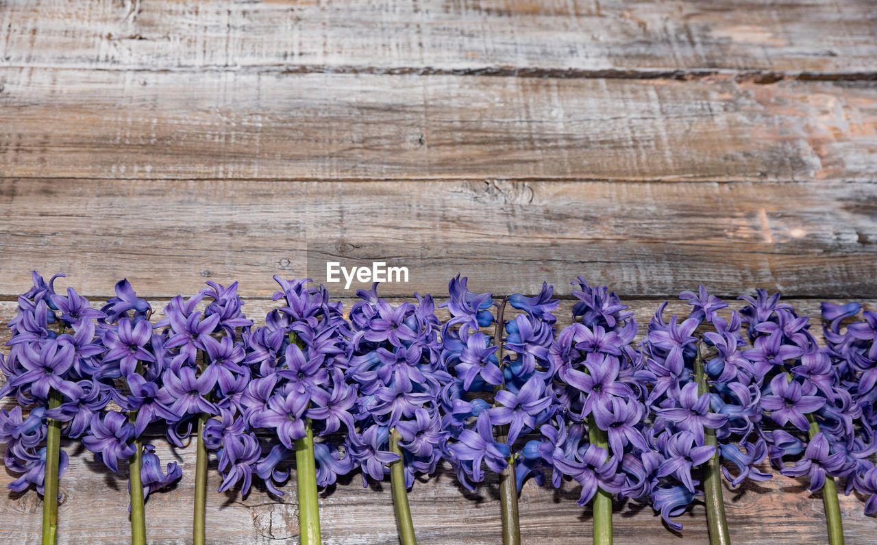 CLOSE-UP OF PURPLE FLOWERS ON WOODEN FLOOR