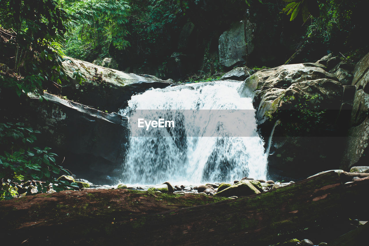 Scenic view of waterfall in forest