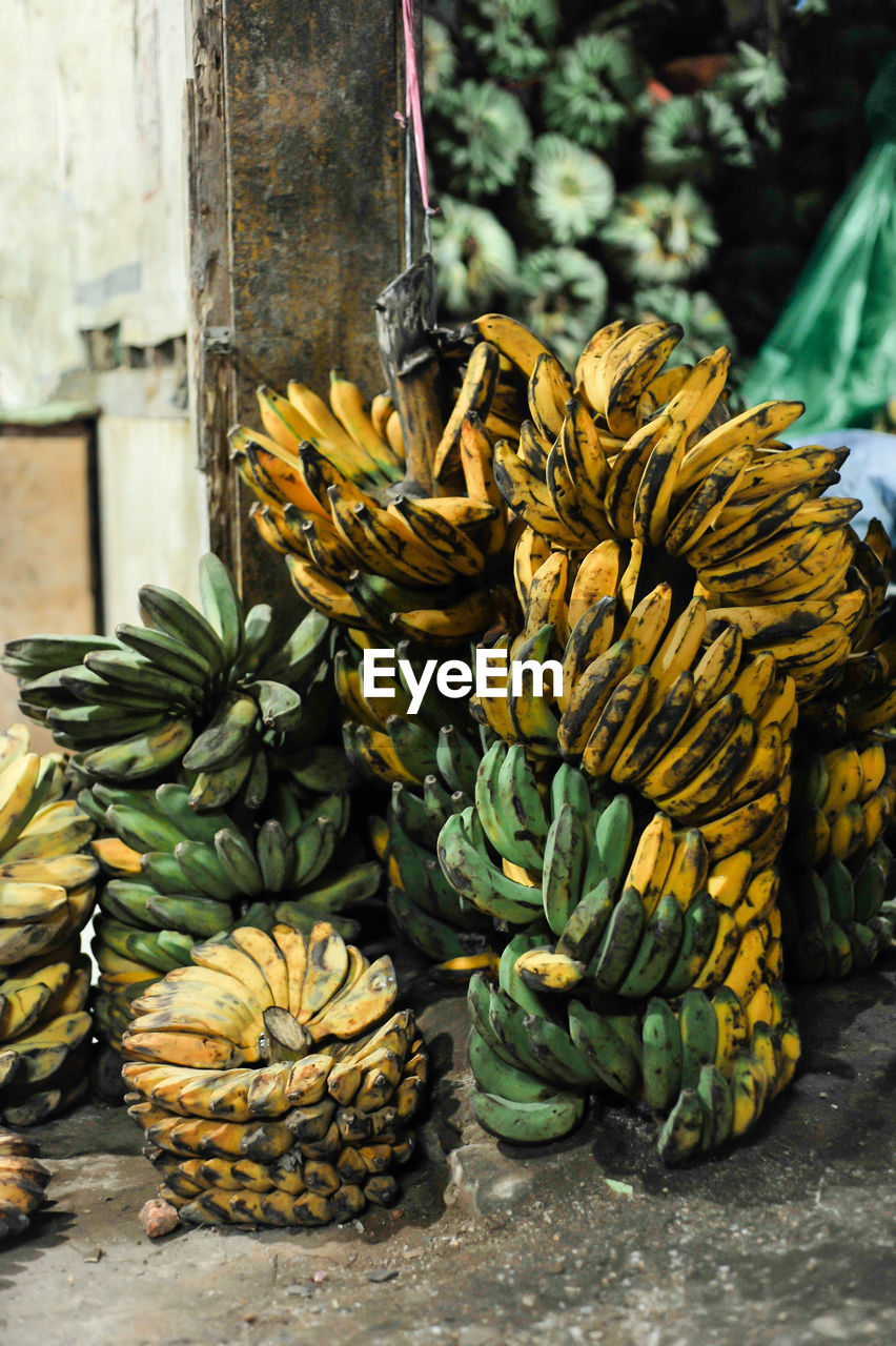 Close-up of fruits for sale at market stall