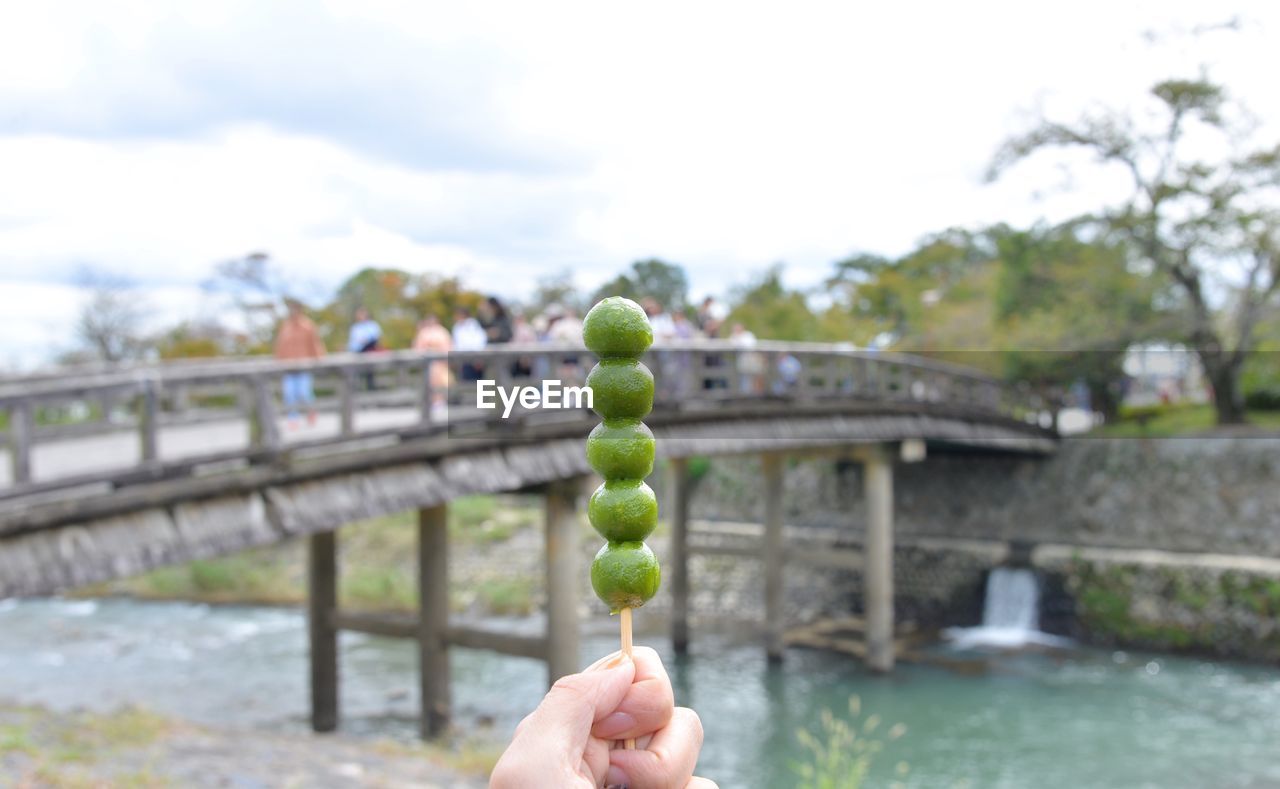 Cropped hand holding food by footbridge