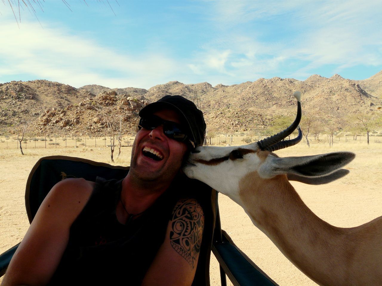 Antelope kissing man
