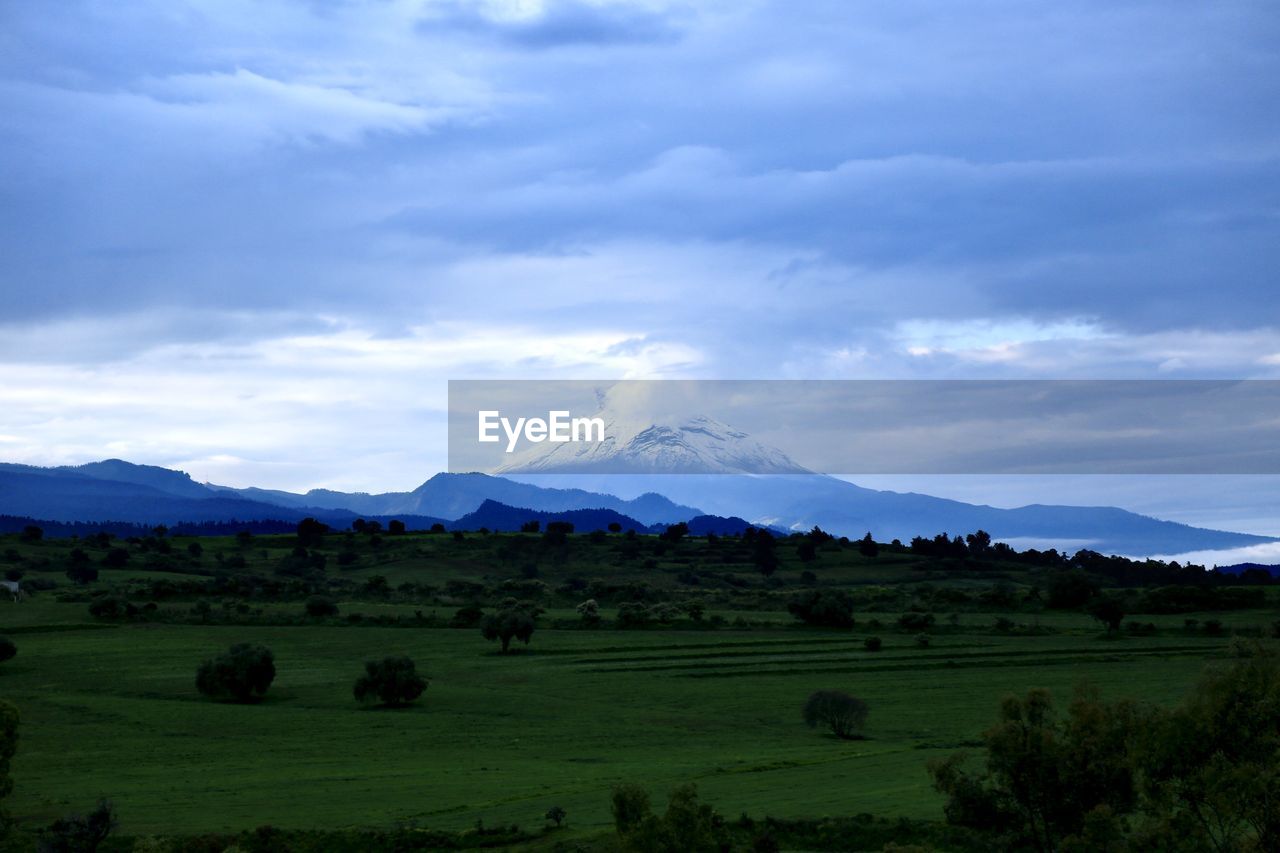 SCENIC VIEW OF GREEN LANDSCAPE AGAINST SKY