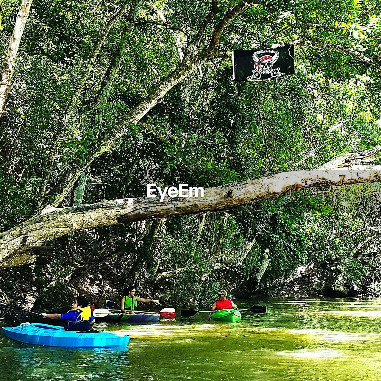 PEOPLE BY BOATS ON TREE