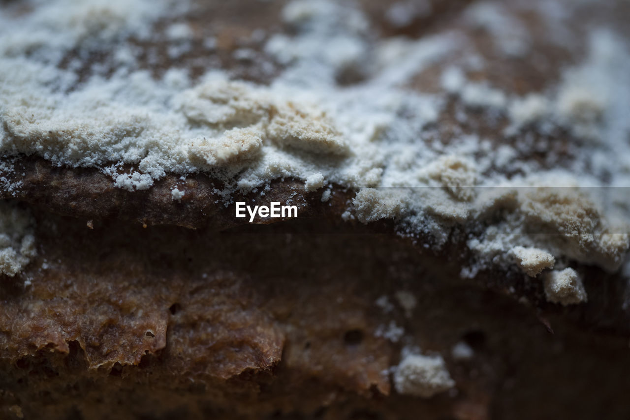 Close-up of bread crust.