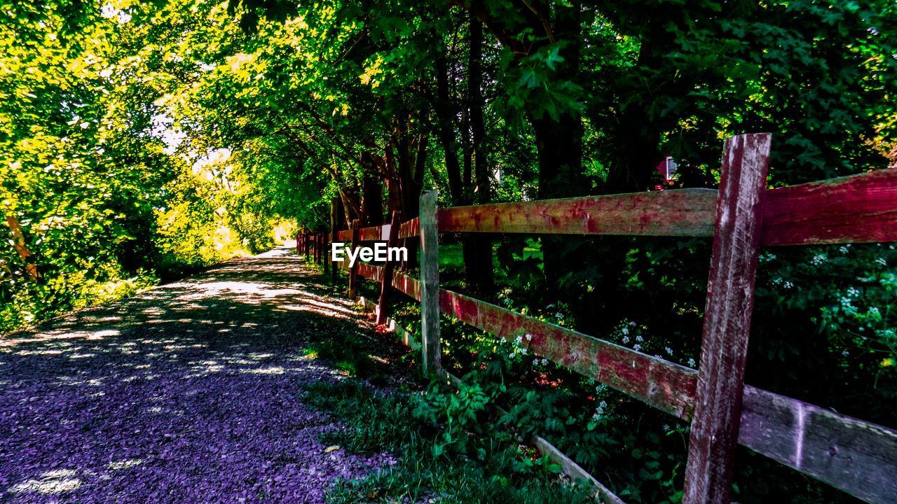 WALKWAY LEADING TOWARDS FOREST