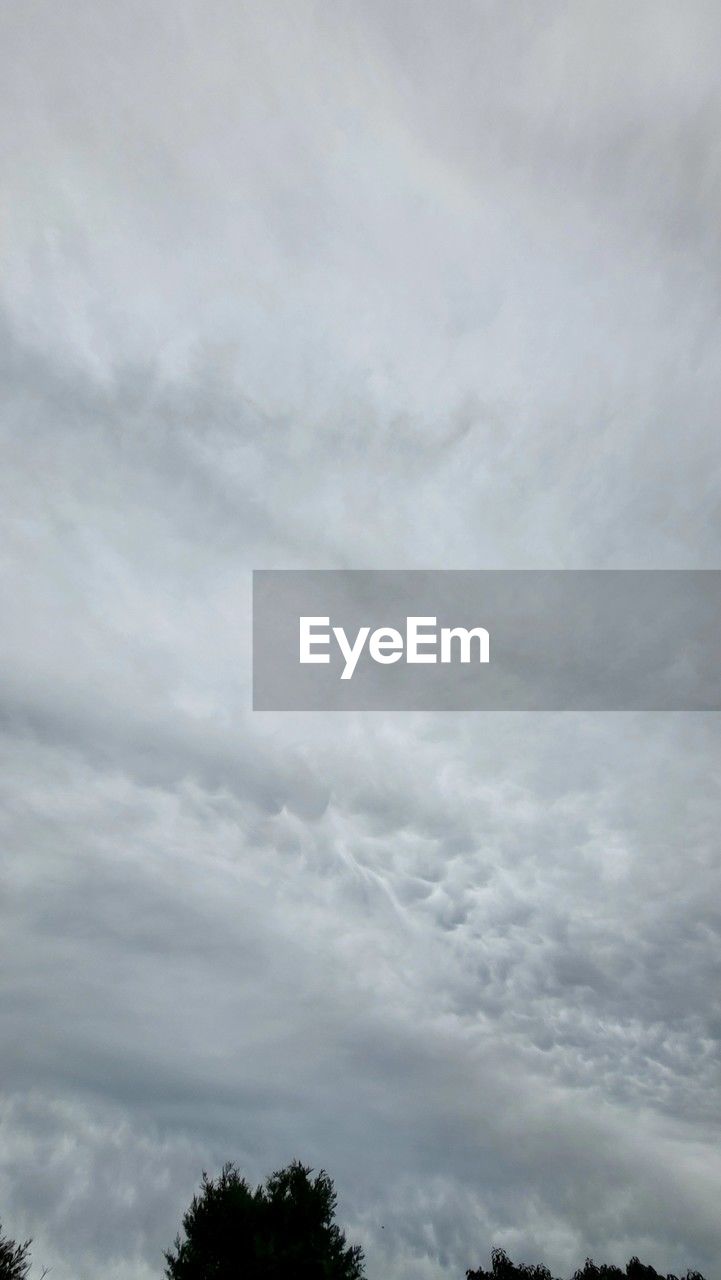 sky, cloud, tree, plant, beauty in nature, nature, no people, low angle view, scenics - nature, tranquility, environment, outdoors, day, overcast, tranquil scene, non-urban scene, cloudscape, storm, treetop, silhouette
