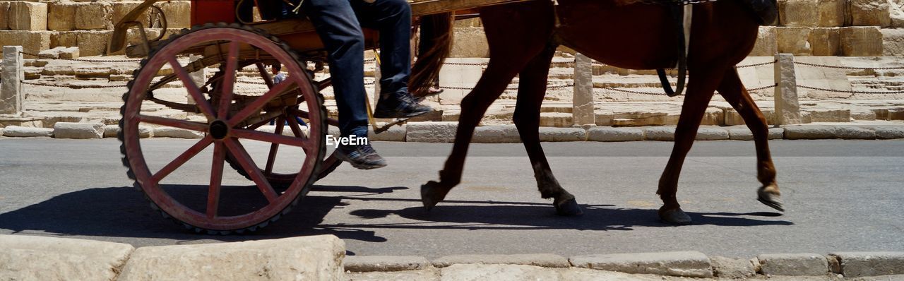 LOW SECTION OF PERSON WITH HORSE IN PEN