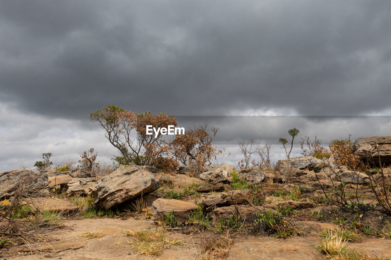 South african landscape under a cloudy sky