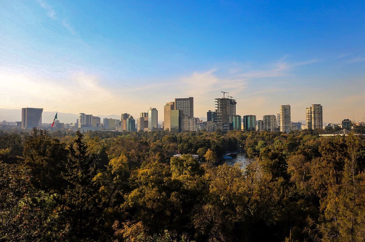 Trees and cityscape against sky