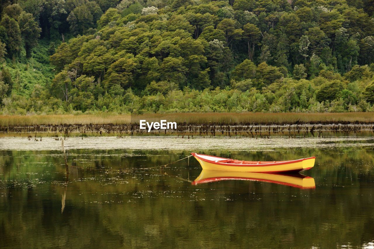 Scenic view of lake against trees