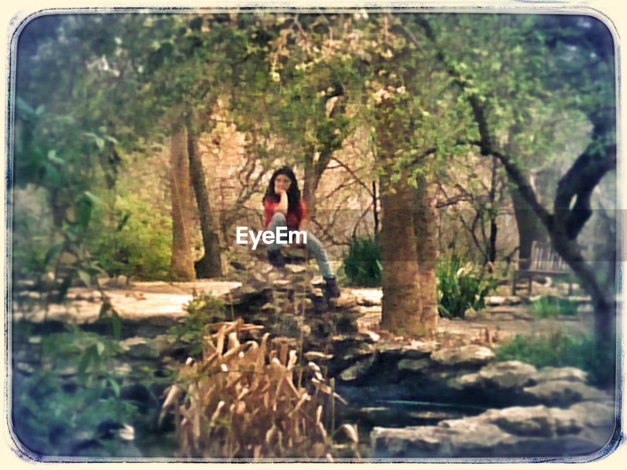 WOMAN STANDING ON TREE TRUNK IN FOREST