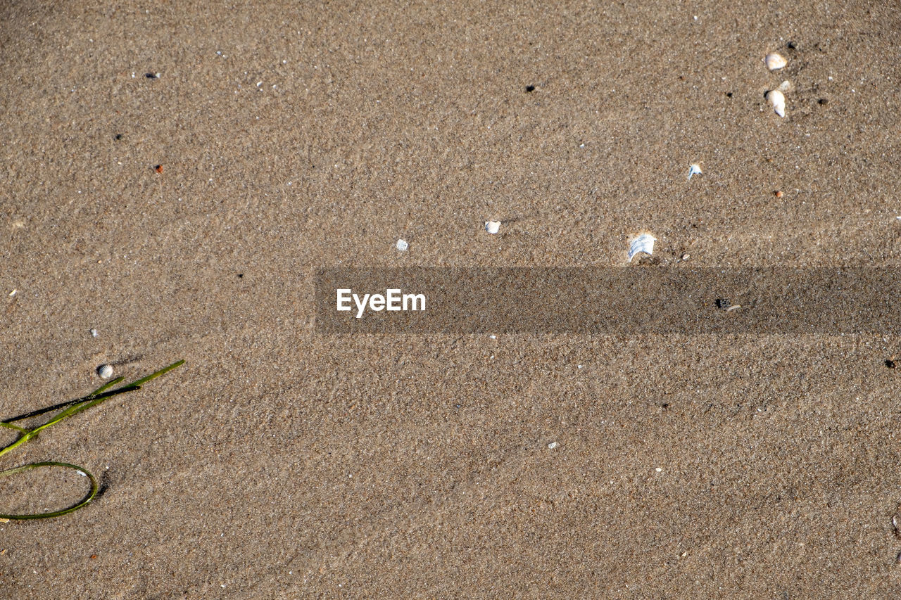 HIGH ANGLE VIEW OF STARFISH ON SAND