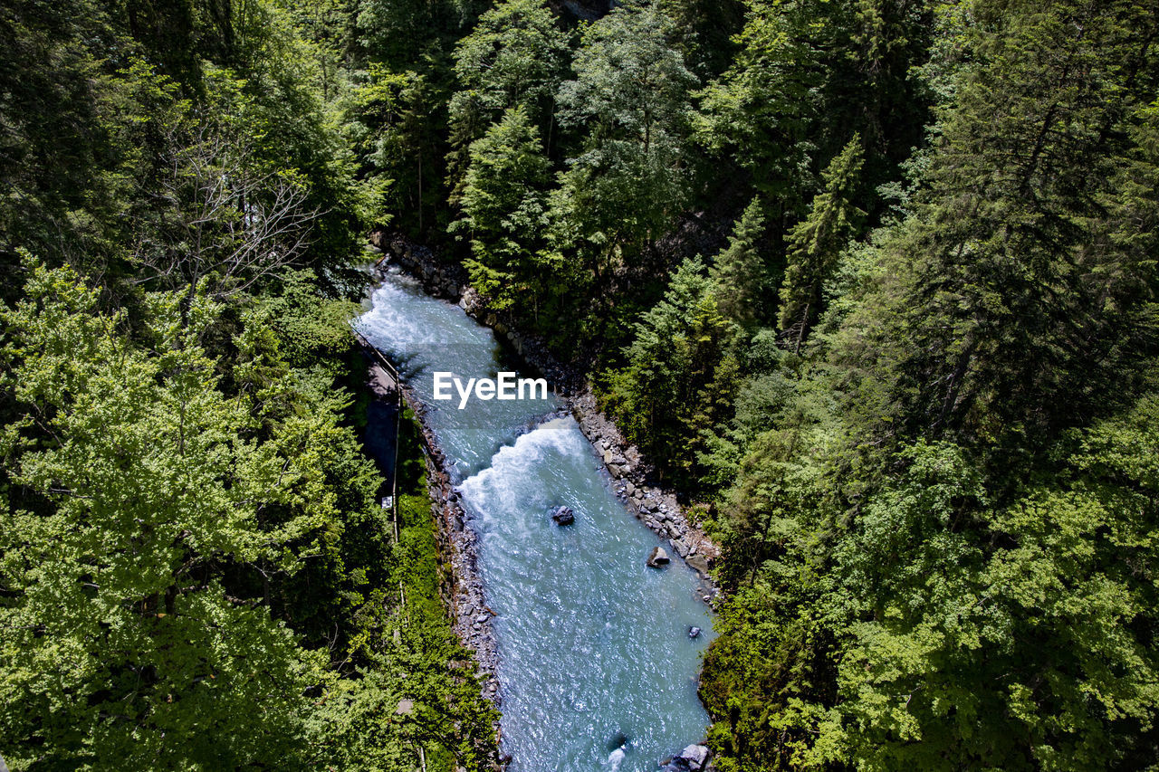 High angle view of road amidst trees in forest