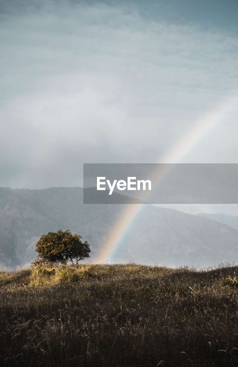 Scenic view of rainbow over mountain against sky