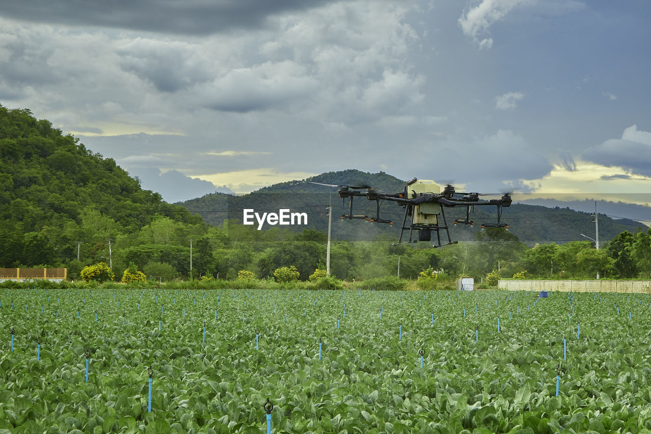 AGRICULTURAL FIELD AGAINST SKY